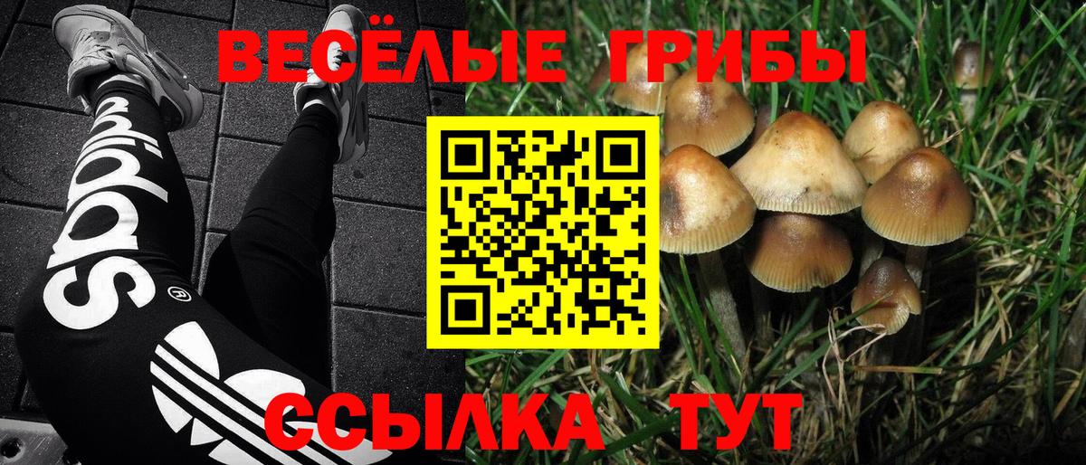 Канаш  Галлюциногенные грибы ЛСД  Псилоцибиновые грибы MAGIC MUSHROOMS  Вход с VPN 